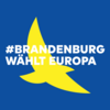 Veranstaltung: "Brandenburg wählt Europa!" - Das Jugendevent zur Europawahl 2024