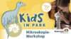 Veranstaltung: Kids im Park: Mikroskopie-Workshop – Kleines ganz groß