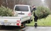 Veranstaltung: Freiwillige Feuerwehr: Einsammeln der Tannenbäume in Schmalensee So 11. 01. 2026