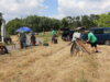 Veranstaltung: Tag der offenen Schmetterlingswiese im Rolandpark Belgern Sa 16.08.2025