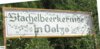 Veranstaltung: Oelzer Kermse 01.  -  03. Aug 2025