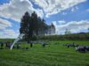 Veranstaltung: Himmelfahrt - Open Air Gottesdienst in Seubtendorf Do 29. 05. 2025