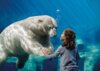 Veranstaltung: Familienfahrt in den Zoo Hannover Sa 19.07.2025