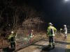 Feuerwehreinsatz: technische Hilfe - Baum auf Gleis
