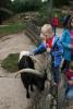 Foto vom Album: Kinderchorausflug zum Tierpark nach Bad Mergentheim