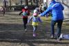 Foto vom Album: UDG - Crosslauf Jamikow