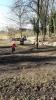 Foto vom Album: UDG - Crosslauf Jamikow