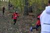 Foto vom Album: Torgelower Crosslauf
