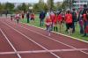 Foto vom Album: Schwedter Herbstlauf