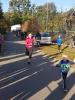 Foto vom Album: Schönower Herbstcross