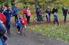 Foto vom Album: Anklamer Herbstcross