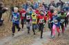 Foto vom Album: KM Cross Schönow