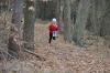 Foto vom Album: KM Cross Schönow