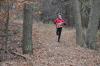 Foto vom Album: KM Cross Schönow