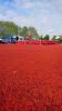 Foto vom Album: LM Senioren Rathenow