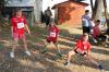 Foto vom Album: Angermünder Sommerlauf