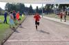 Foto vom Album: Angermünder Sommerlauf