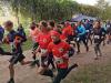 Foto vom Album: Ueckermünder Herbstcross