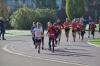 Foto vom Album: Schwedter Herbstlauf