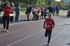 Foto vom Album: Schwedter Herbstlauf