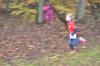Foto vom Album: Torgelower Crosslauf