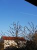 ... die Sophienstraße mit Flugzeug am blauen Frühlingshimmel."