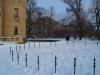Foto vom Album: Babelsberger Park im Winter