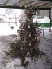 Foto vom Album: Weihnachtbaum verbrennen auf dem Schützenplatz