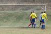 Foto vom Album: SG Fredersdorf vs SV Wollin ll 4:3 (2:1)