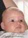 Foto vom Album: Beelitzer Babygalerie