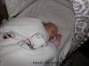 Foto vom Album: Beelitzer Babygalerie