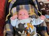 Foto vom Album: Beelitzer Babygalerie