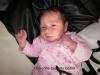 Foto vom Album: Beelitzer Babygalerie