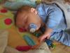 Foto vom Album: Beelitzer Babygalerie