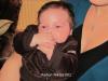 Foto vom Album: Beelitzer Babygalerie