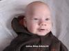 Foto vom Album: Beelitzer Babygalerie