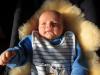 Foto vom Album: Beelitzer Babygalerie