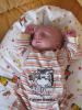 Foto vom Album: Beelitzer Babygalerie