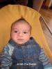 Foto vom Album: Beelitzer Babygalerie