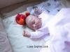 Foto vom Album: Beelitzer Babygalerie