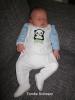 Foto vom Album: Beelitzer Babygalerie