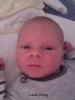 Foto vom Album: Beelitzer Babygalerie
