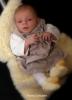 Foto vom Album: Beelitzer Babygalerie