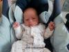 Foto vom Album: Beelitzer Babygalerie