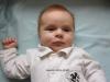 Foto vom Album: Beelitzer Babygalerie