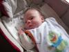 Foto vom Album: Beelitzer Babygalerie