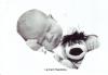 Foto vom Album: Beelitzer Babygalerie
