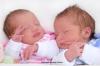 Foto vom Album: Beelitzer Babygalerie