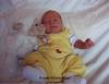 Foto vom Album: Beelitzer Babygalerie