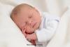 Foto vom Album: Beelitzer Babygalerie